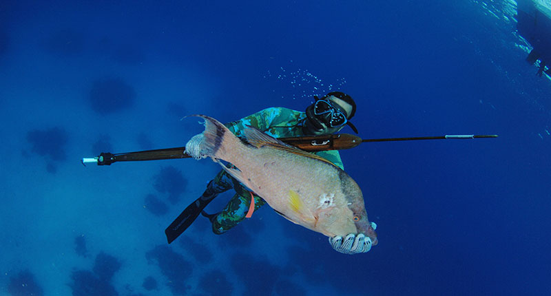 BUCEO: ¿aventura, deporte, búsqueda?